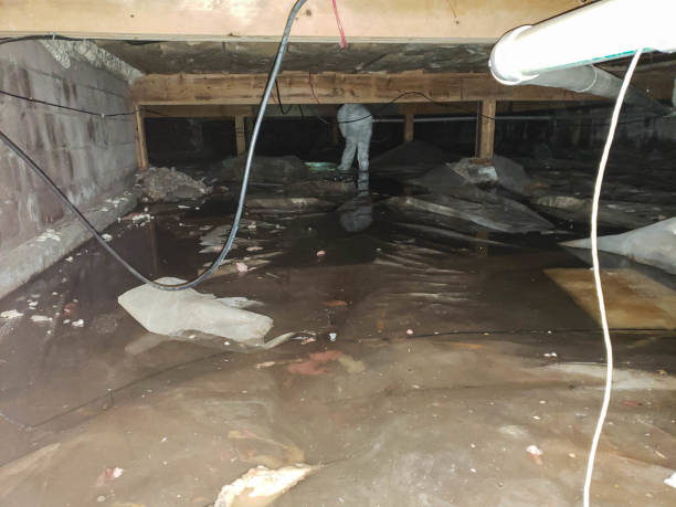 Trusted Water Damage Restoration in Grove Hill, AL | Fast, Reliable, and Ready to Assist You